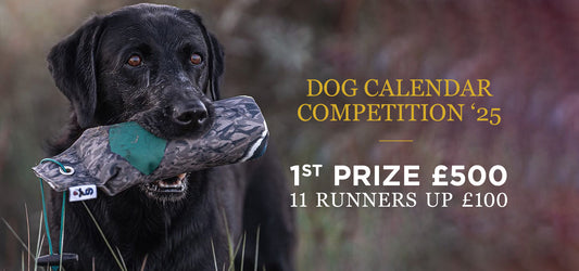 2025 Dog Calendar Competition