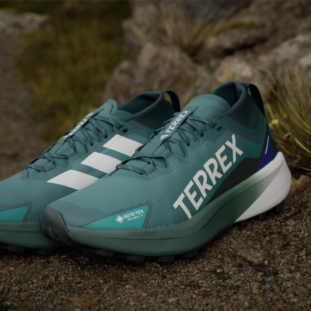 Adidas Terrex Agravic GTX Trail Running Shoes Preloved Teal / Cloud White / Semi Lucid Blue