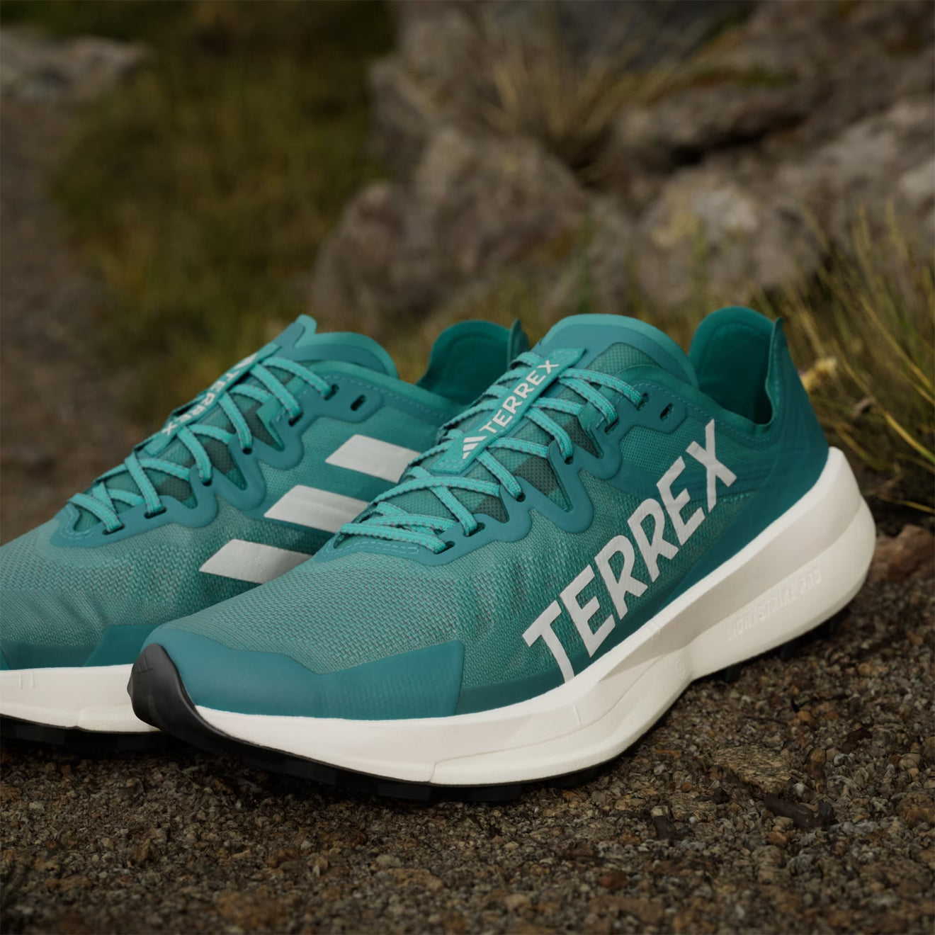 Adidas Terrex Agravic Speed Running Shoe Pure Teal / Grey One / Core Black