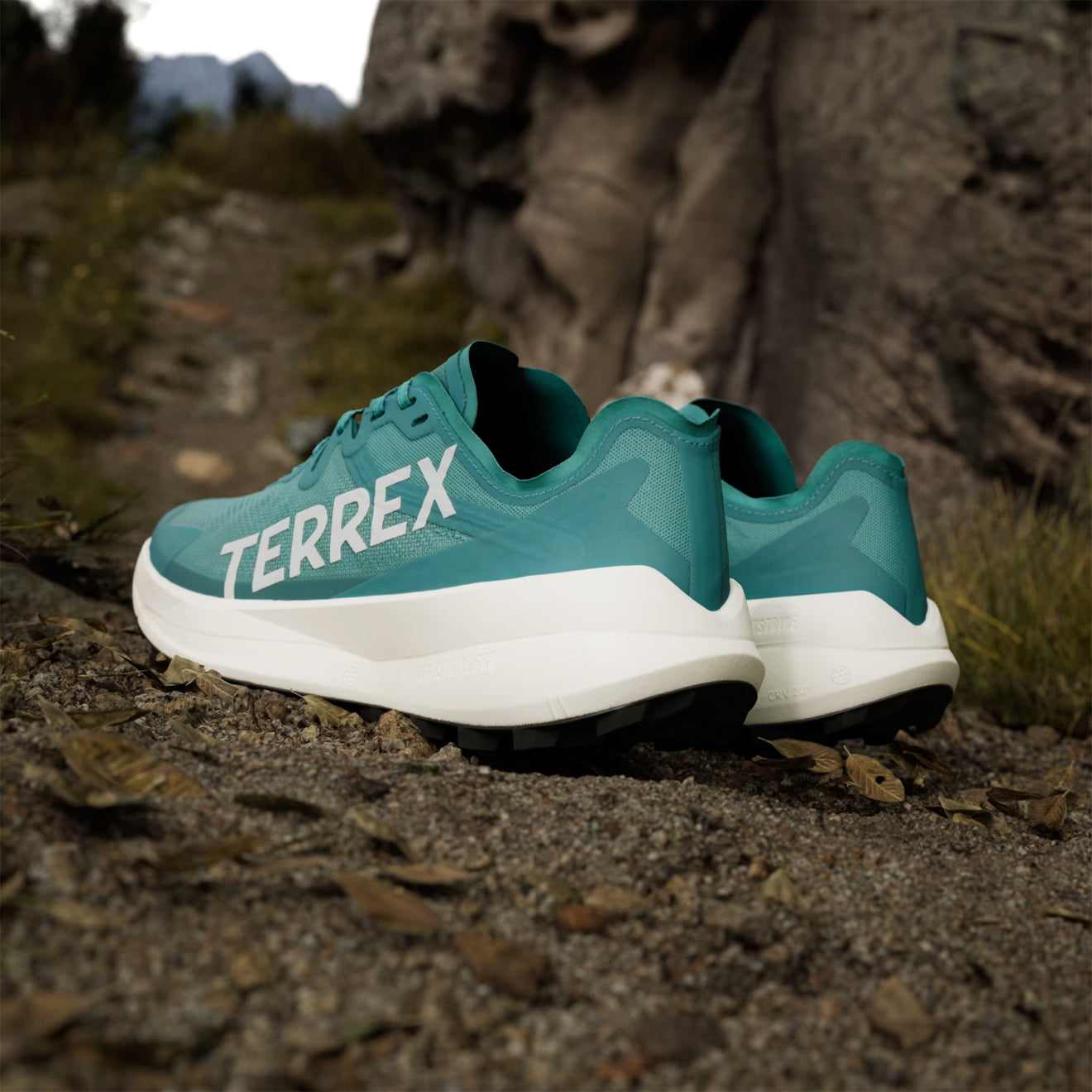 Adidas Terrex Agravic Speed Running Shoe Pure Teal / Grey One / Core Black