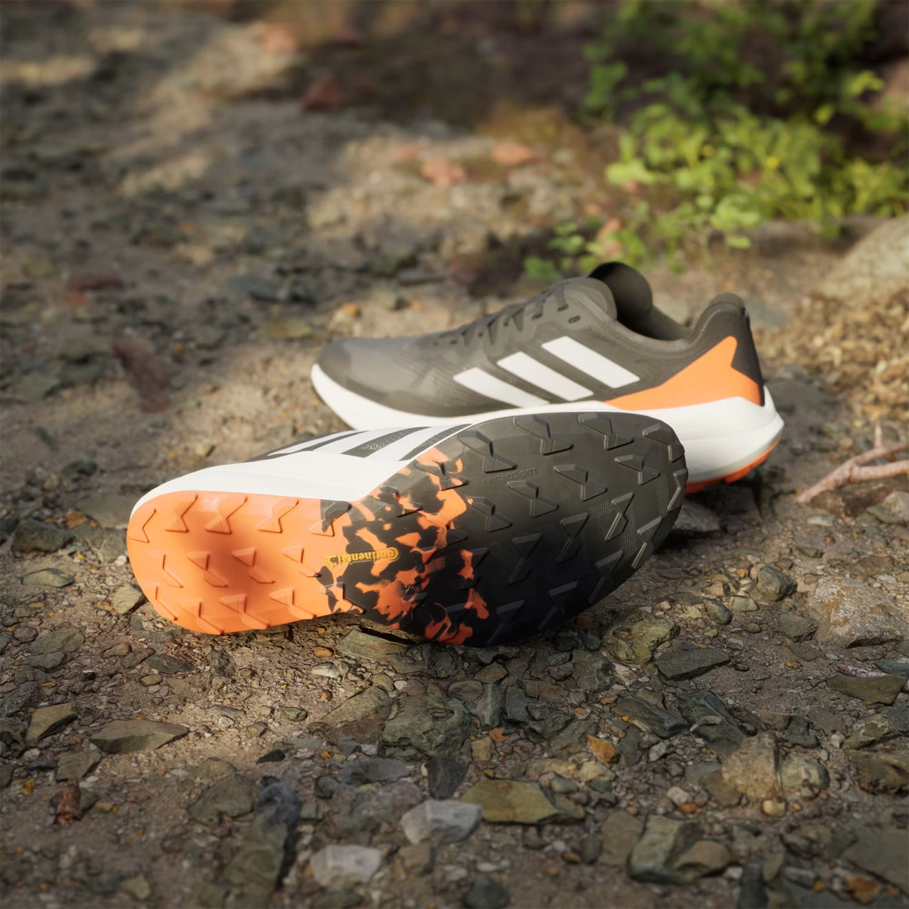 Adidas Terrex Agravic Speed Trail Running Shoe