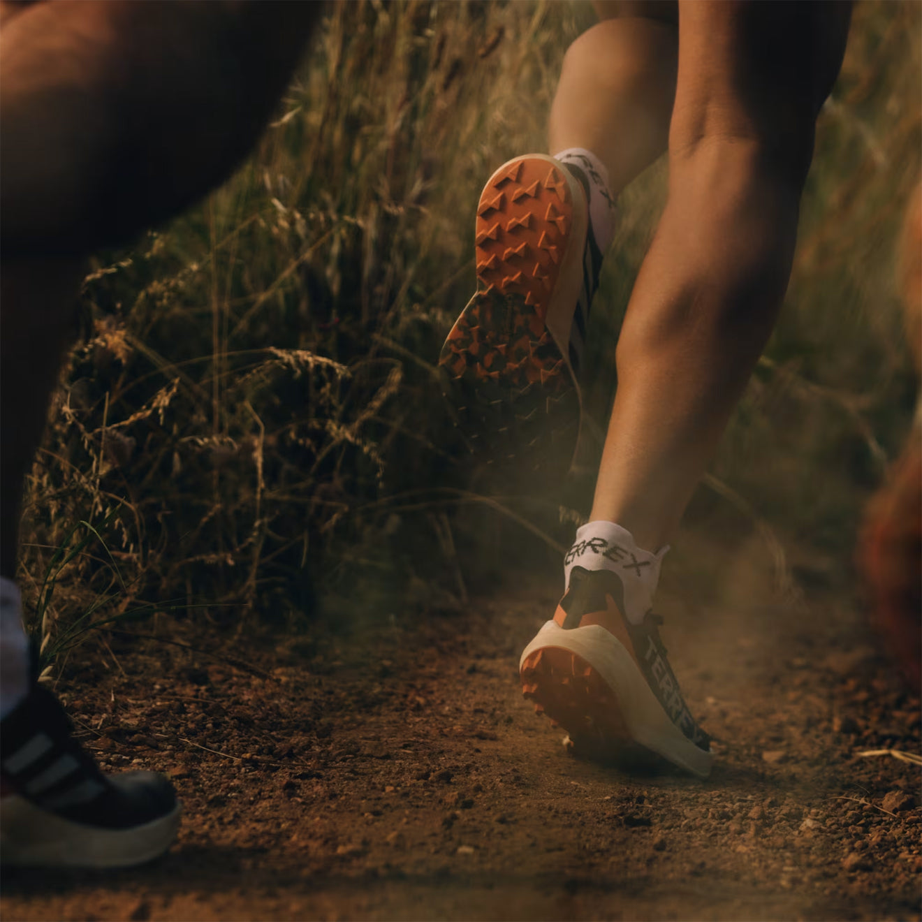 Adidas Terrex Agravic Speed Trail Running Shoe