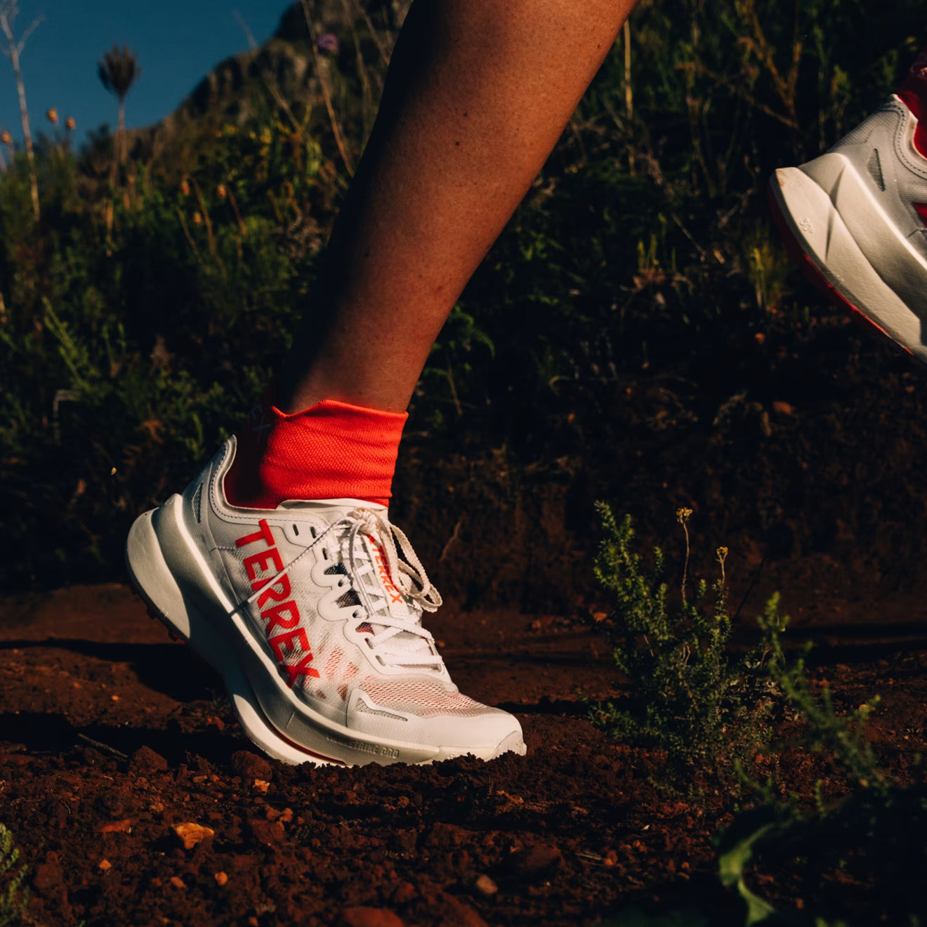 Adidas Terrex Agravic Speed Ultra Trail Running Shoes Ultra Cloud White / Impact Orange / Dash Grey