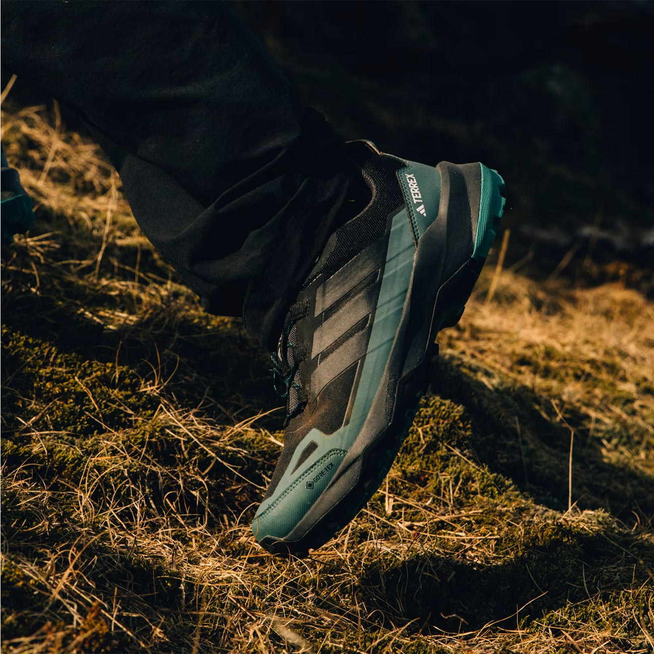 Adidas Terrex Skychaser AX5 GORE-TEX Hiking Shoes Core Black / Carbon / Pure Teal