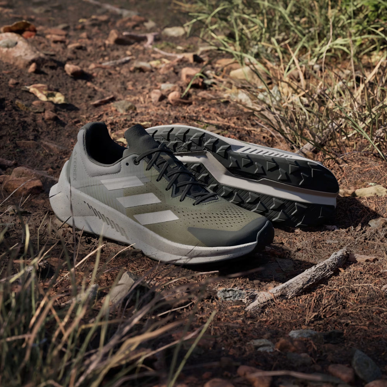 Adidas Terrex Soulstride Flow Trail Running Shoe Olive Strata / Wonder Beige / Charcoal - The Sporting Lodge