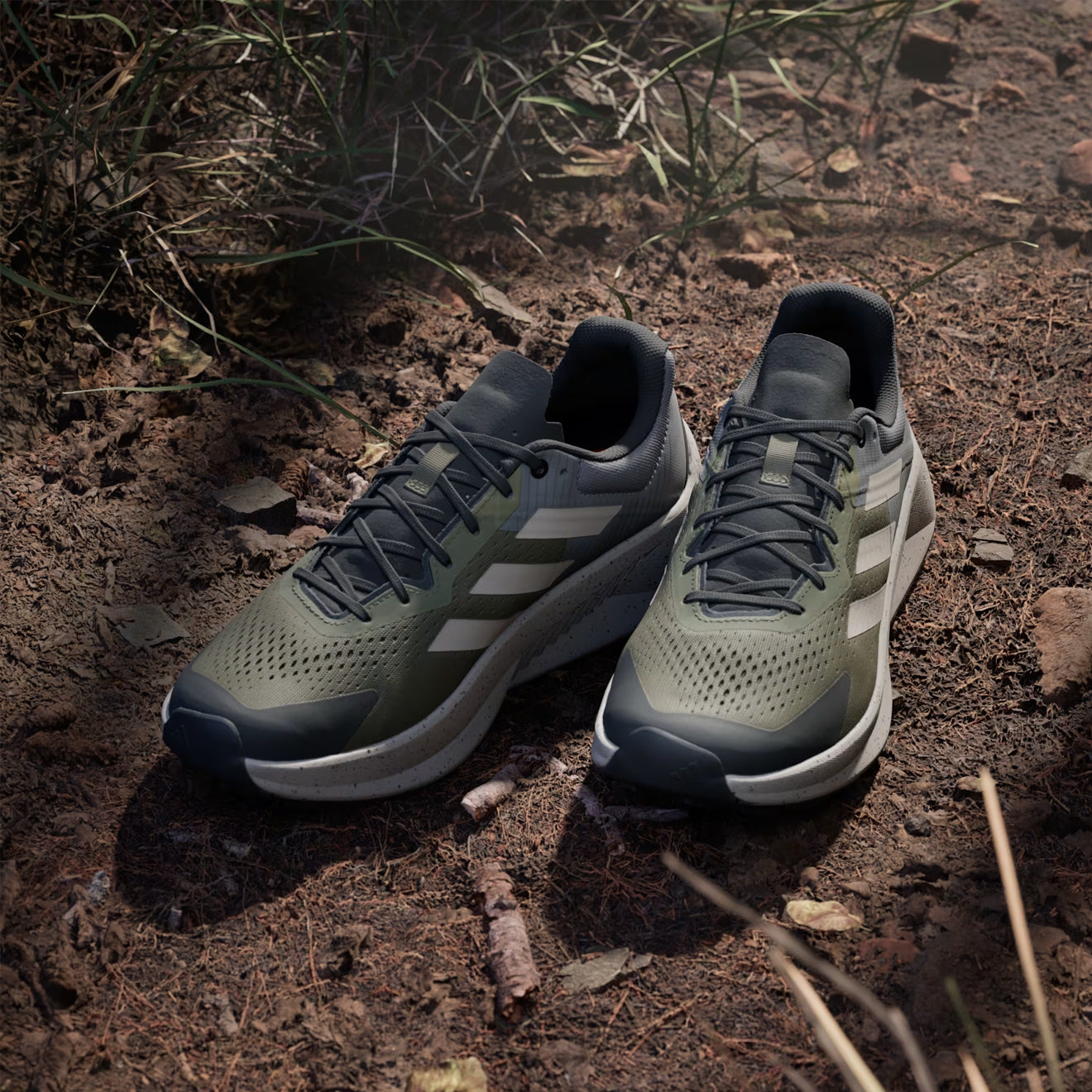 Adidas Terrex Soulstride Flow Trail Running Shoe Olive Strata / Wonder Beige / Charcoal - The Sporting Lodge