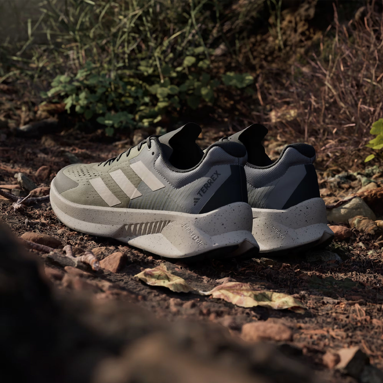Adidas Terrex Soulstride Flow Trail Running Shoe Olive Strata / Wonder Beige / Charcoal - The Sporting Lodge