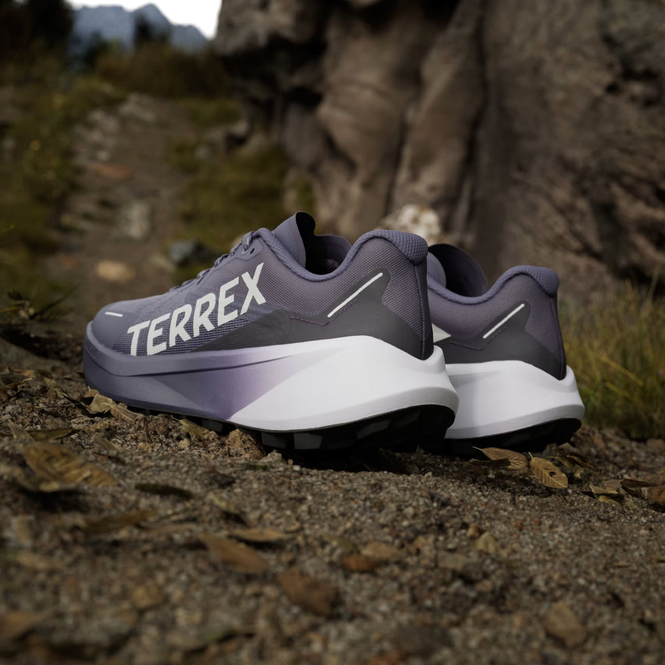 Adidas Terrex Womens Agravic 3 Trail Running Shoes Preloved Violet / Grey One / Powder Plum