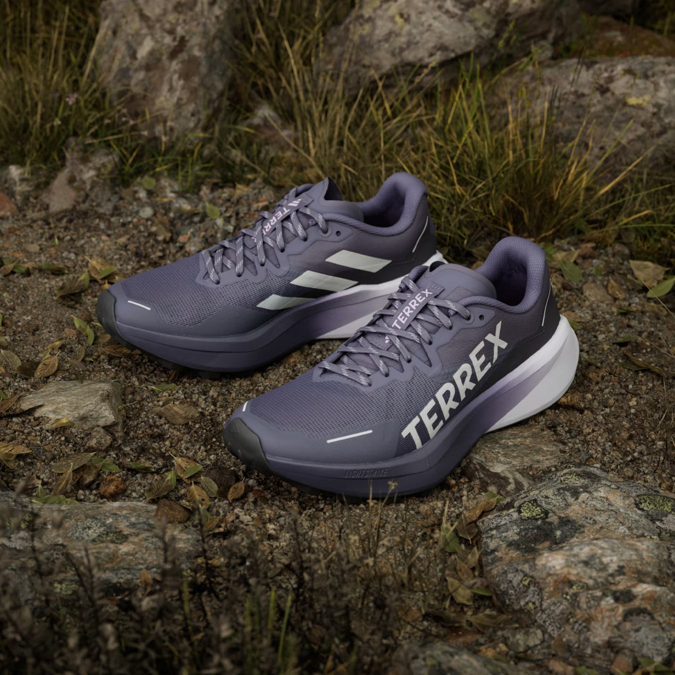 Adidas Terrex Womens Agravic 3 Trail Running Shoes Preloved Violet / Grey One / Powder Plum