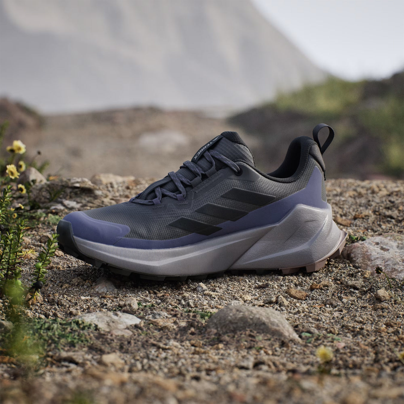 Adidas Terrex Womens Trailmaker 2.0 GORE-TEX Hiking Shoes Carbon / Core Black / Preloved Violet