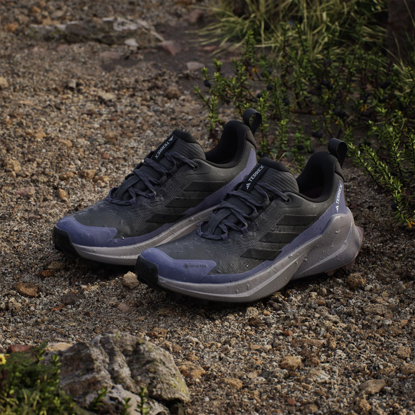 Adidas Terrex Womens Trailmaker 2.0 GORE-TEX Hiking Shoes Carbon / Core Black / Preloved Violet