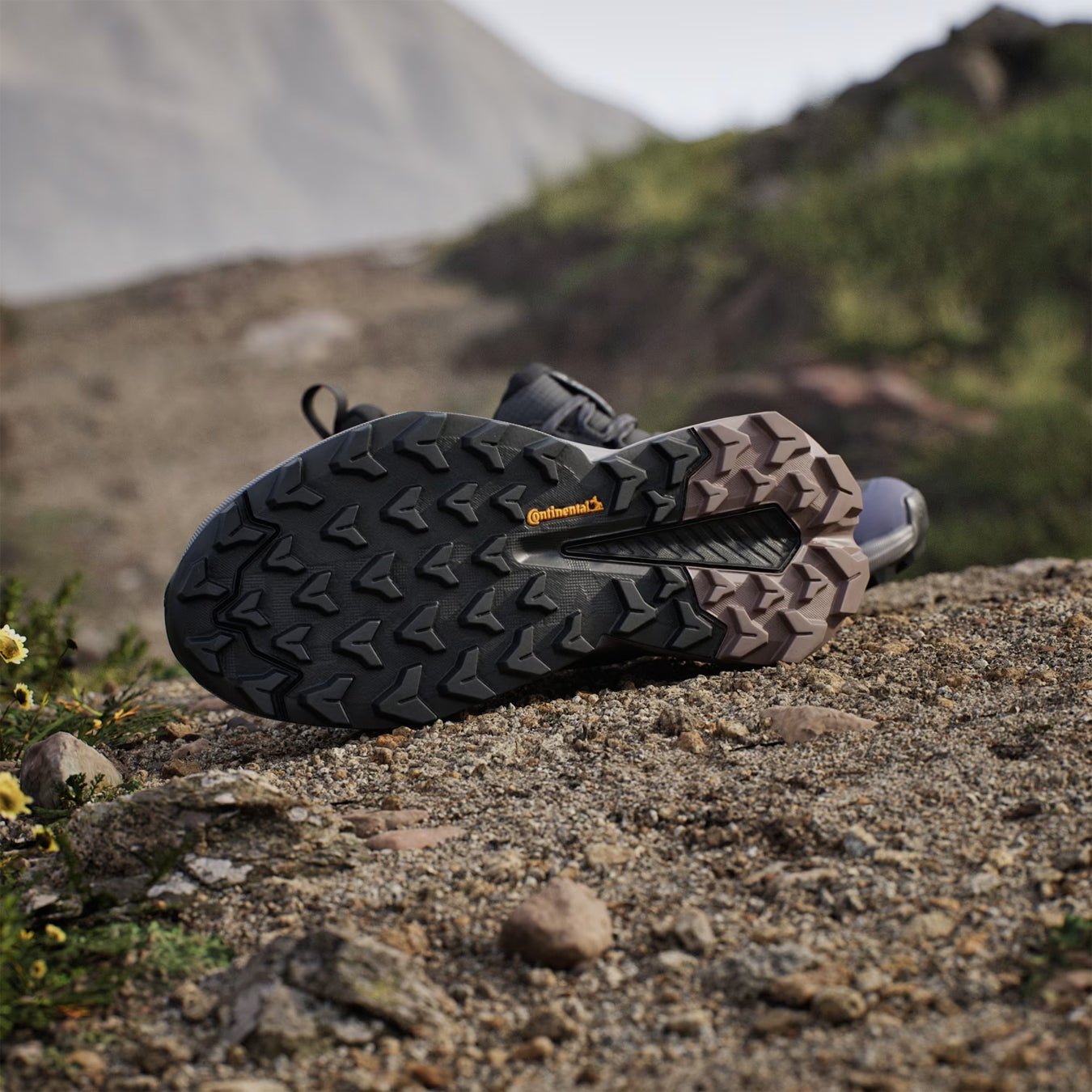 Adidas Terrex Womens Trailmaker 2.0 GORE-TEX Hiking Shoes Carbon / Core Black / Preloved Violet - The Sporting Lodge