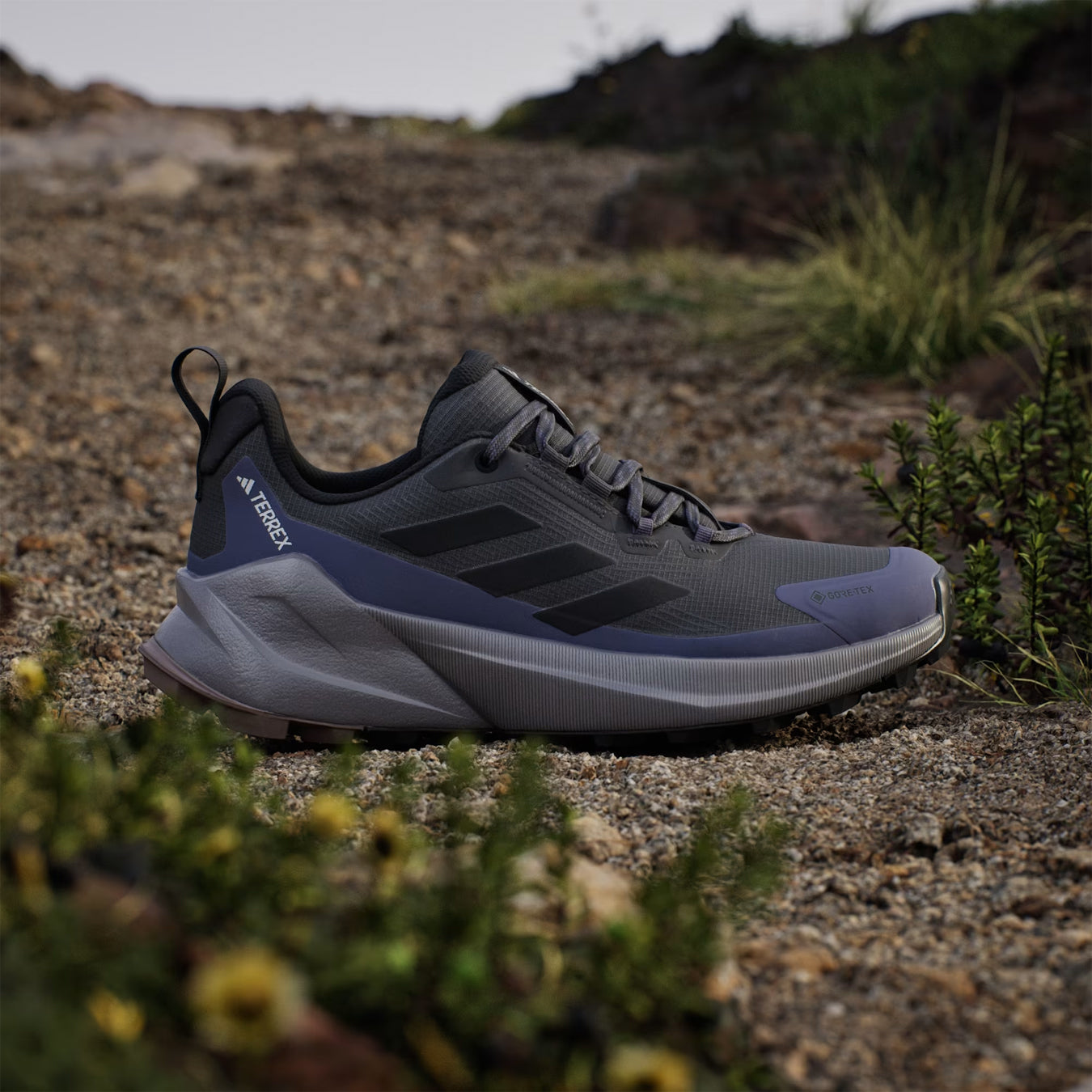 Adidas Terrex Womens Trailmaker 2.0 GORE-TEX Hiking Shoes Carbon / Core Black / Preloved Violet