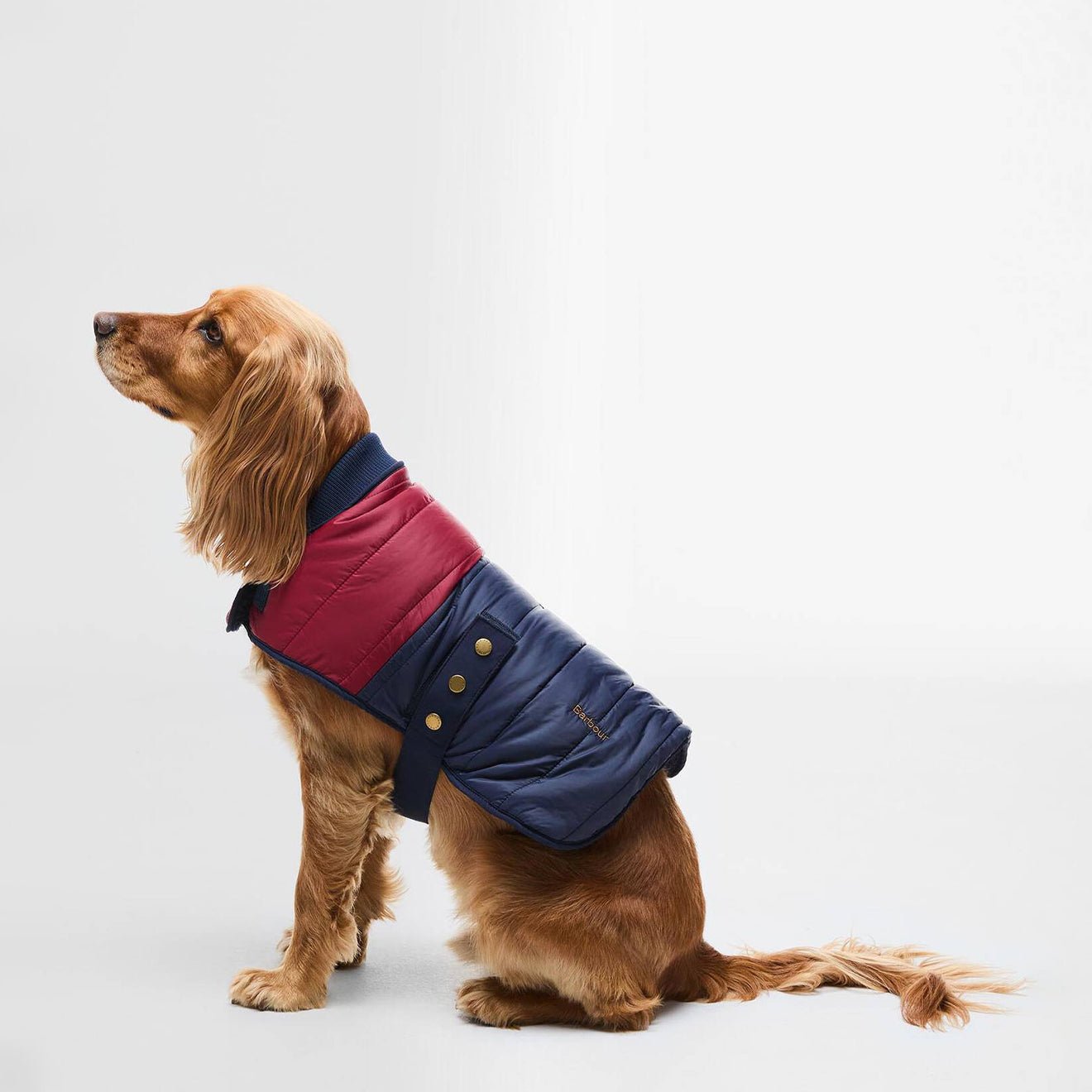 Barbour Brampton Quilted Dog Coat Red/Navy - The Sporting Lodge