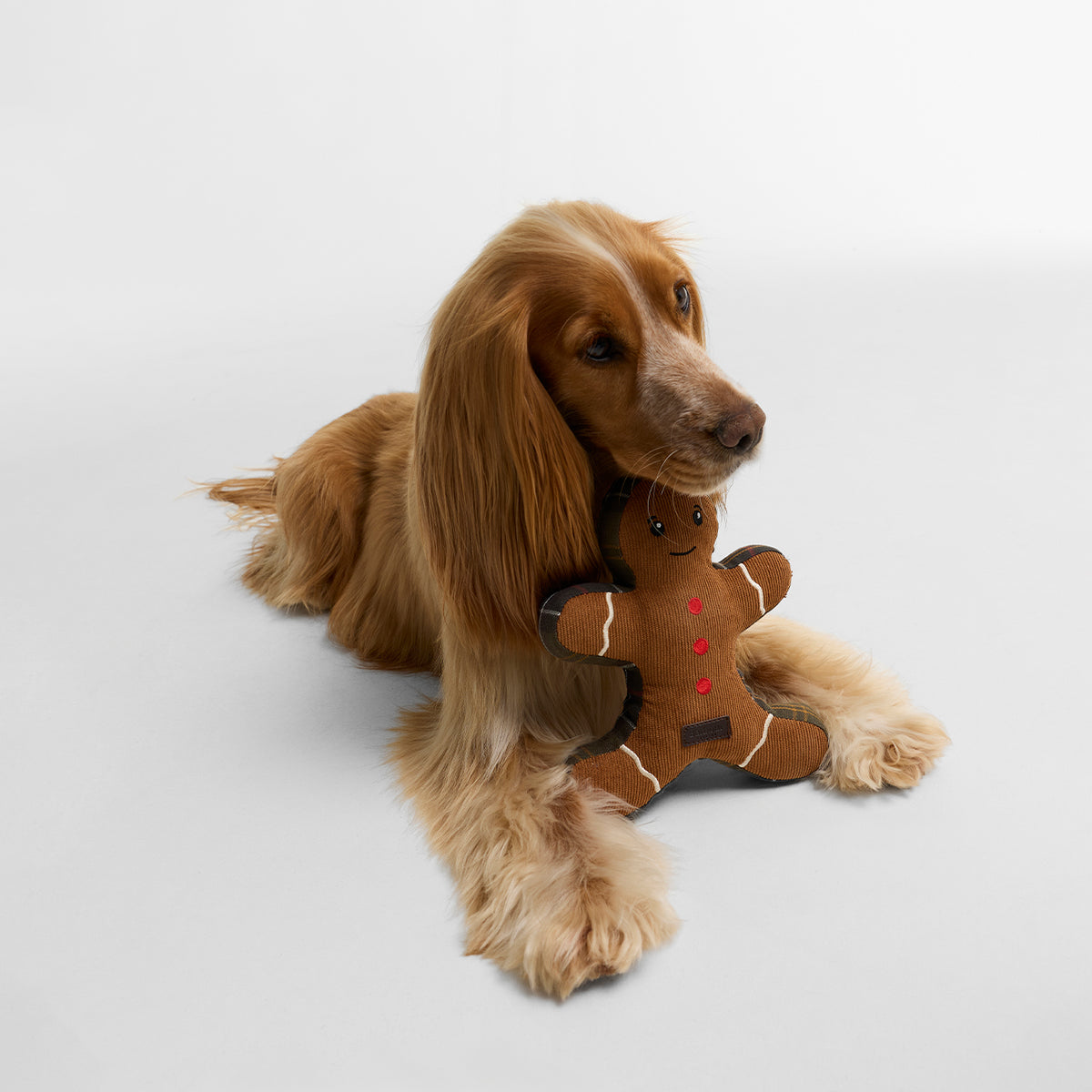 Barbour Dog Christmas Gingerbread Toy Brown