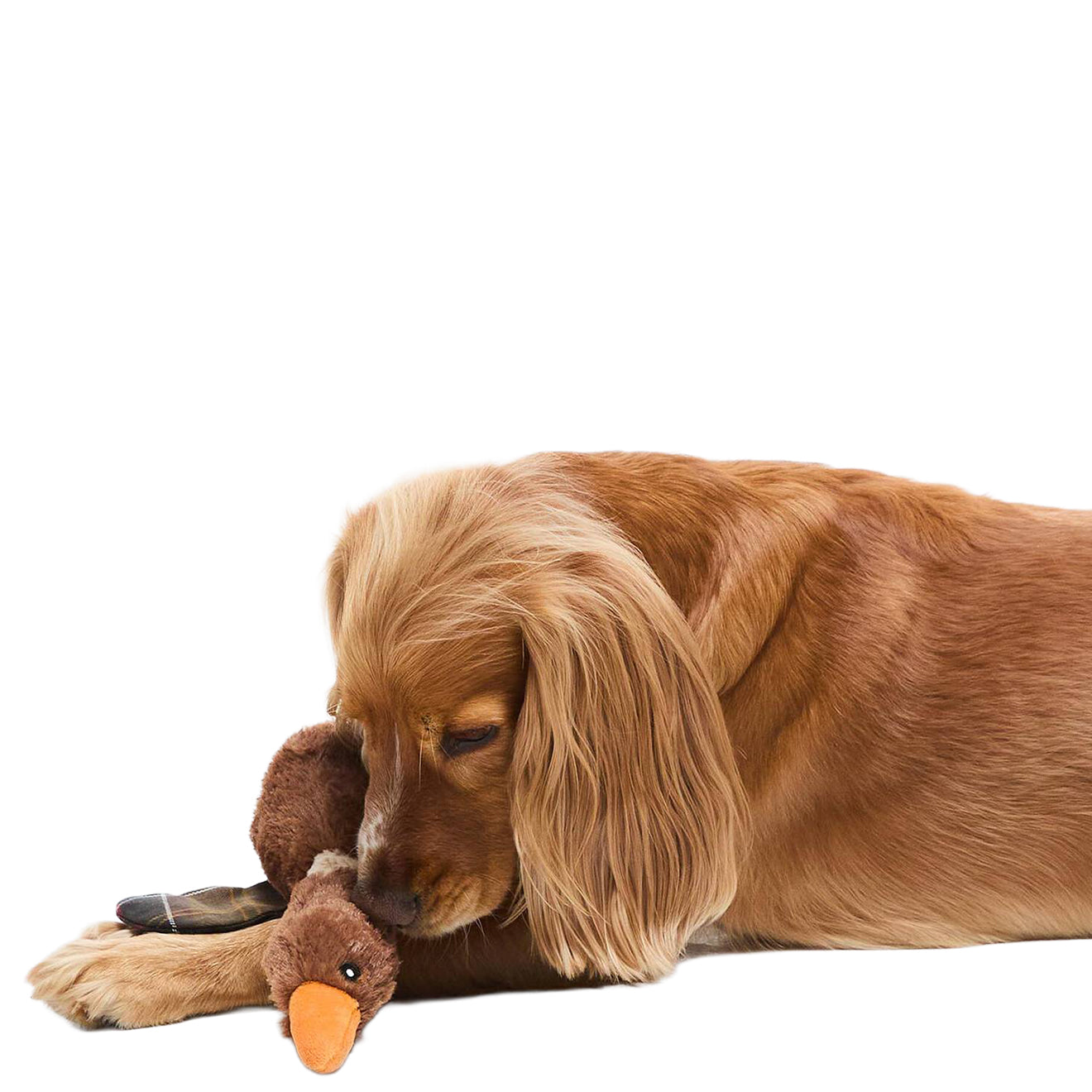 Barbour Dog Flying Duck Toy Brown