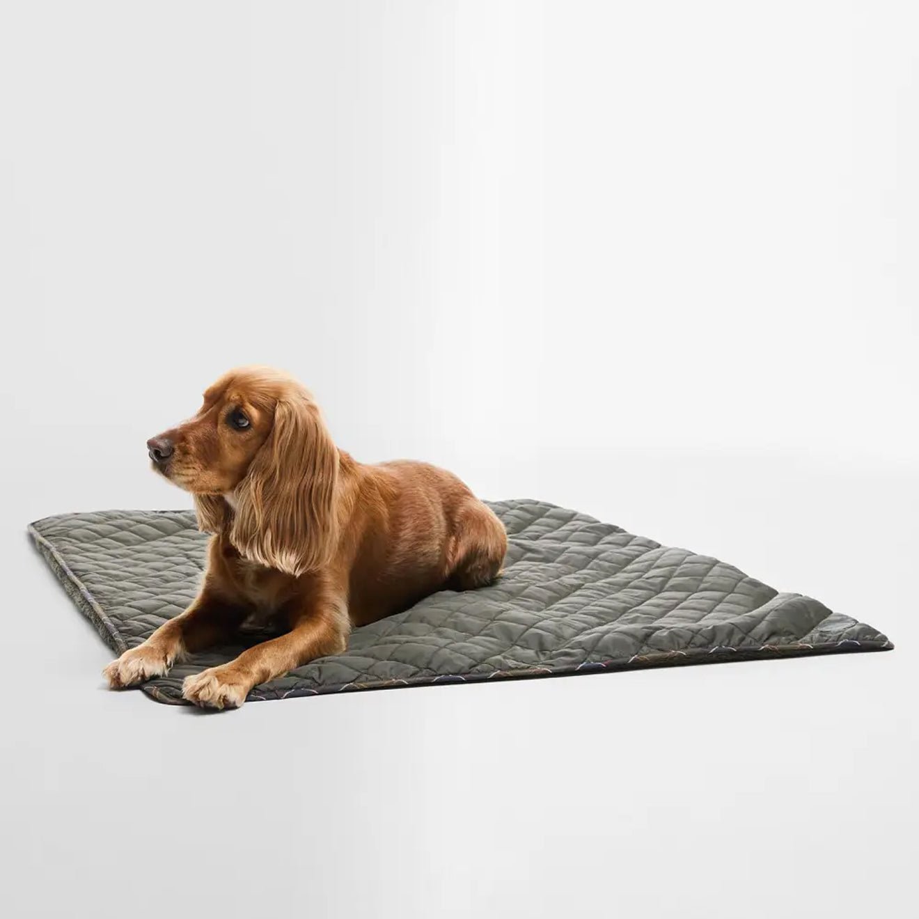 Barbour Dog Quilt & Fleece Blanket Olive - The Sporting Lodge