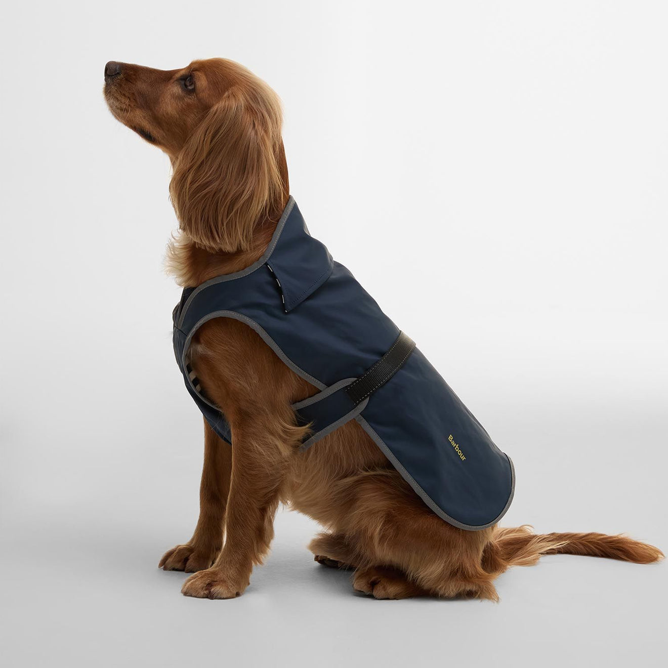 Barbour Evie Waterproof Dog Coat Dark Navy - The Sporting Lodge
