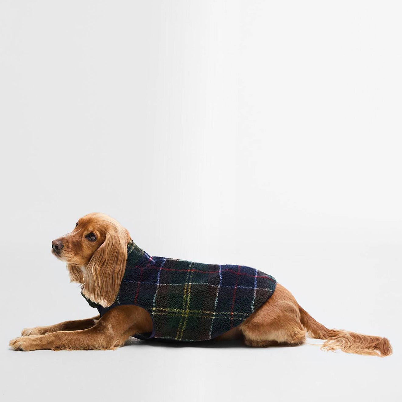 Barbour Field Reversible Dog Coat Classic/Navy - The Sporting Lodge