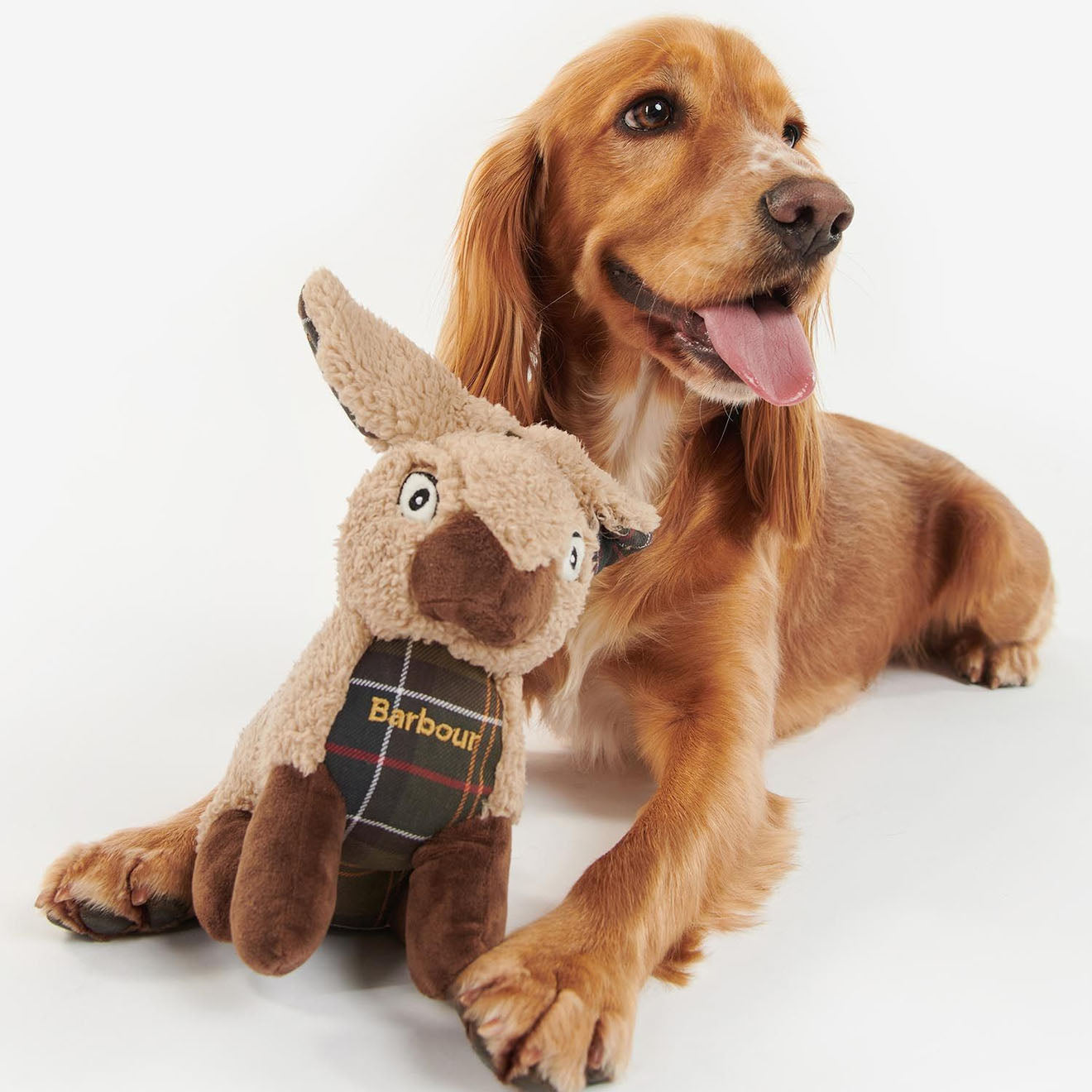 Barbour Rabbit Dog Toy - The Sporting Lodge