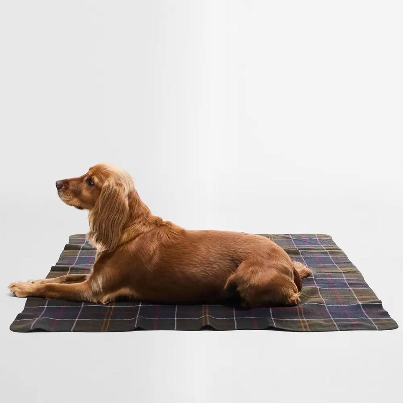 Barbour Tartan Dog Blanket Classic Tartan - The Sporting Lodge