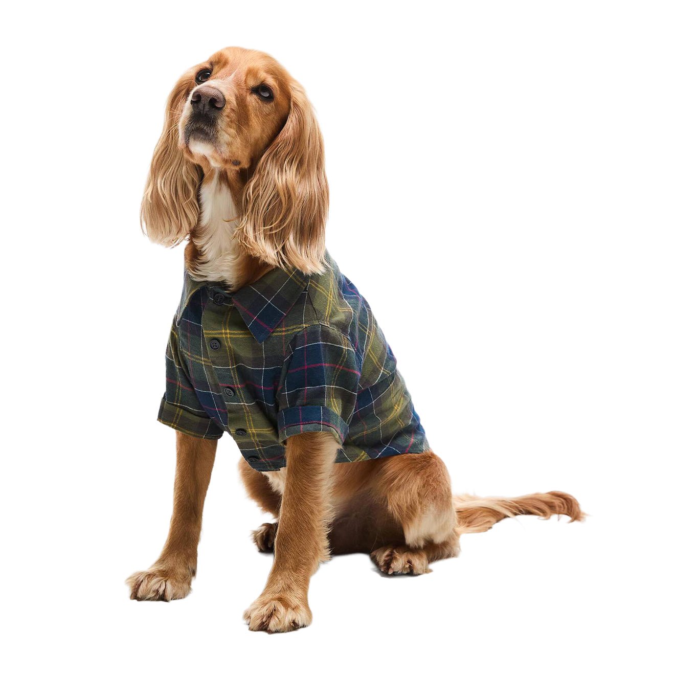Barbour Tartan Fortrose Dog Shirt Classic Tartan - The Sporting Lodge