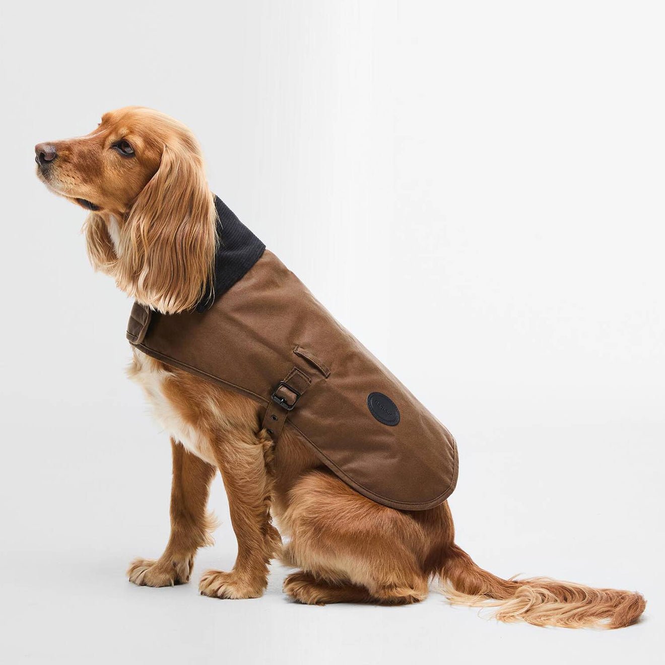 Barbour Waxed Dog Coat Tan - The Sporting Lodge