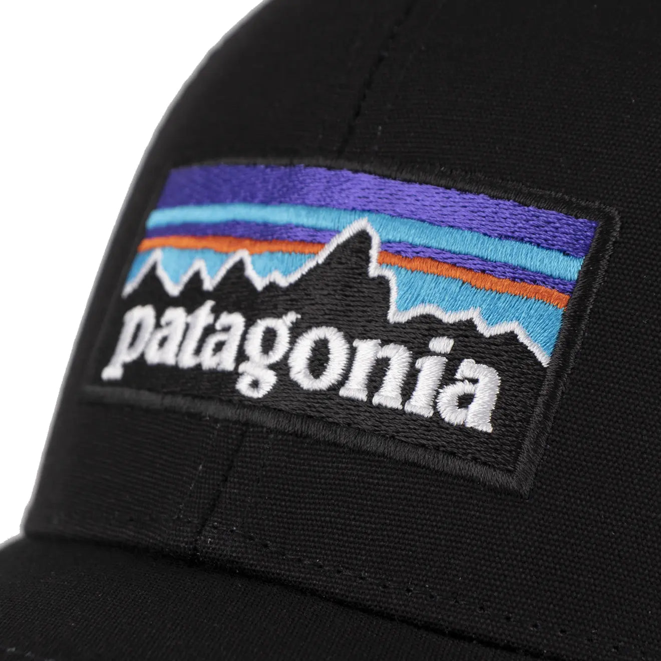 Patagonia P-6 Logo LoPro Trucker Hat Black - The Sporting Lodge