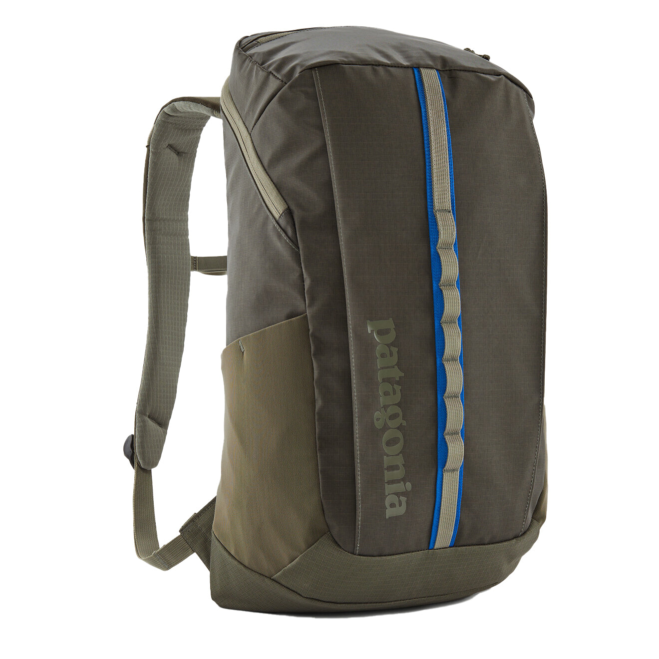 Patagonia Black Hole Pack 25L Basin Green - The Sporting Lodge