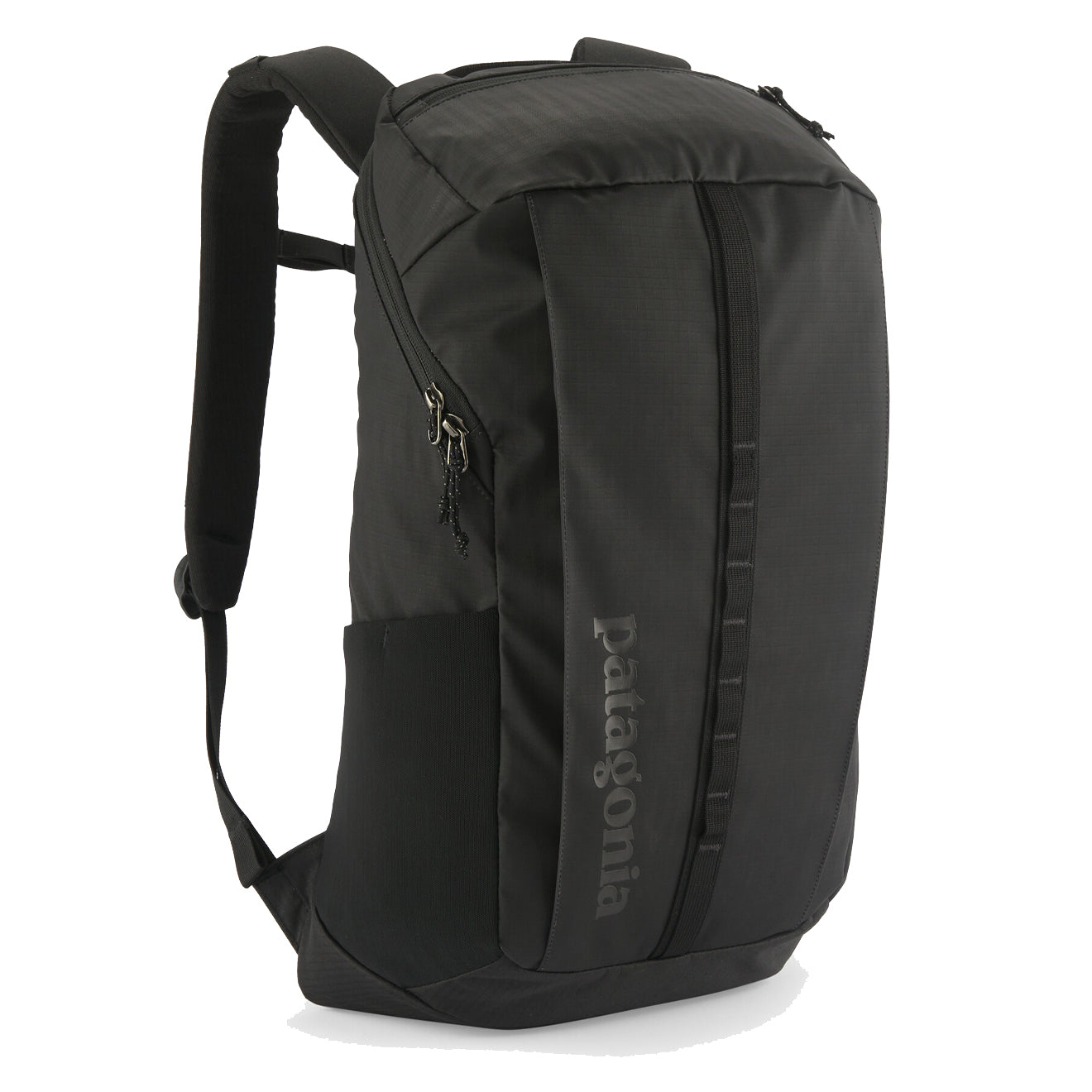 Patagonia Black Hole Pack 25L Black - The Sporting Lodge
