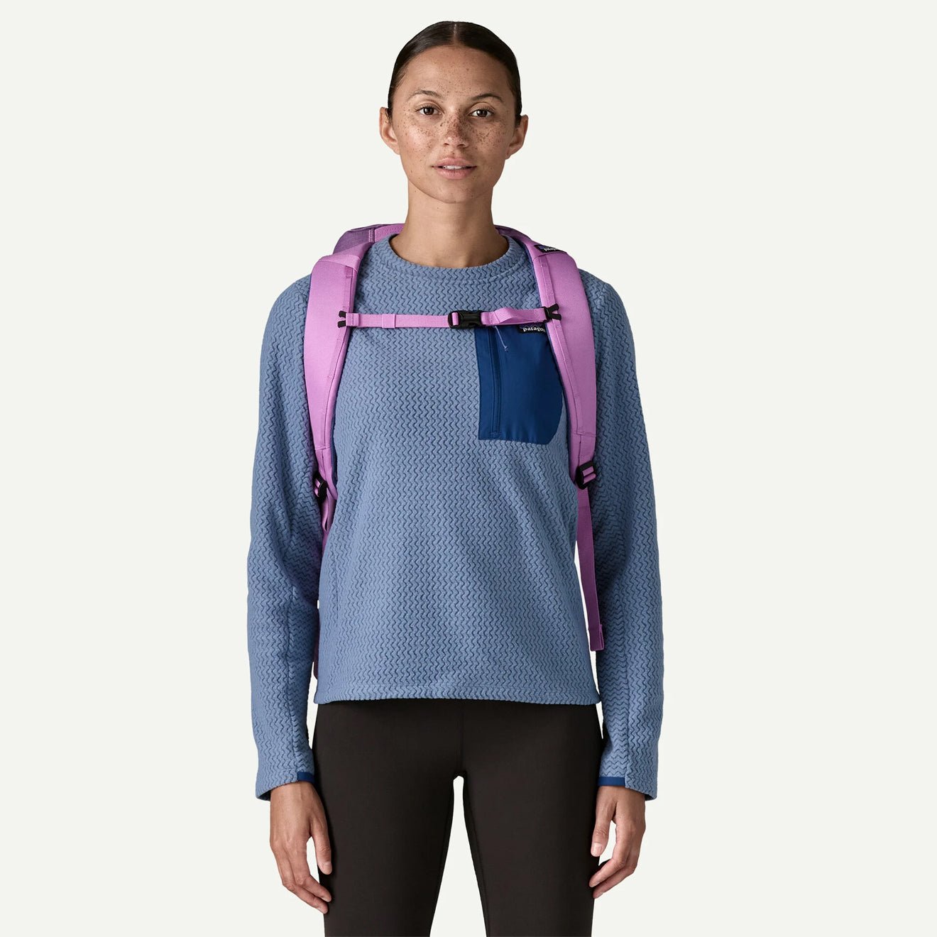 Patagonia Black Hole Pack 25L Brisk Purple - The Sporting Lodge