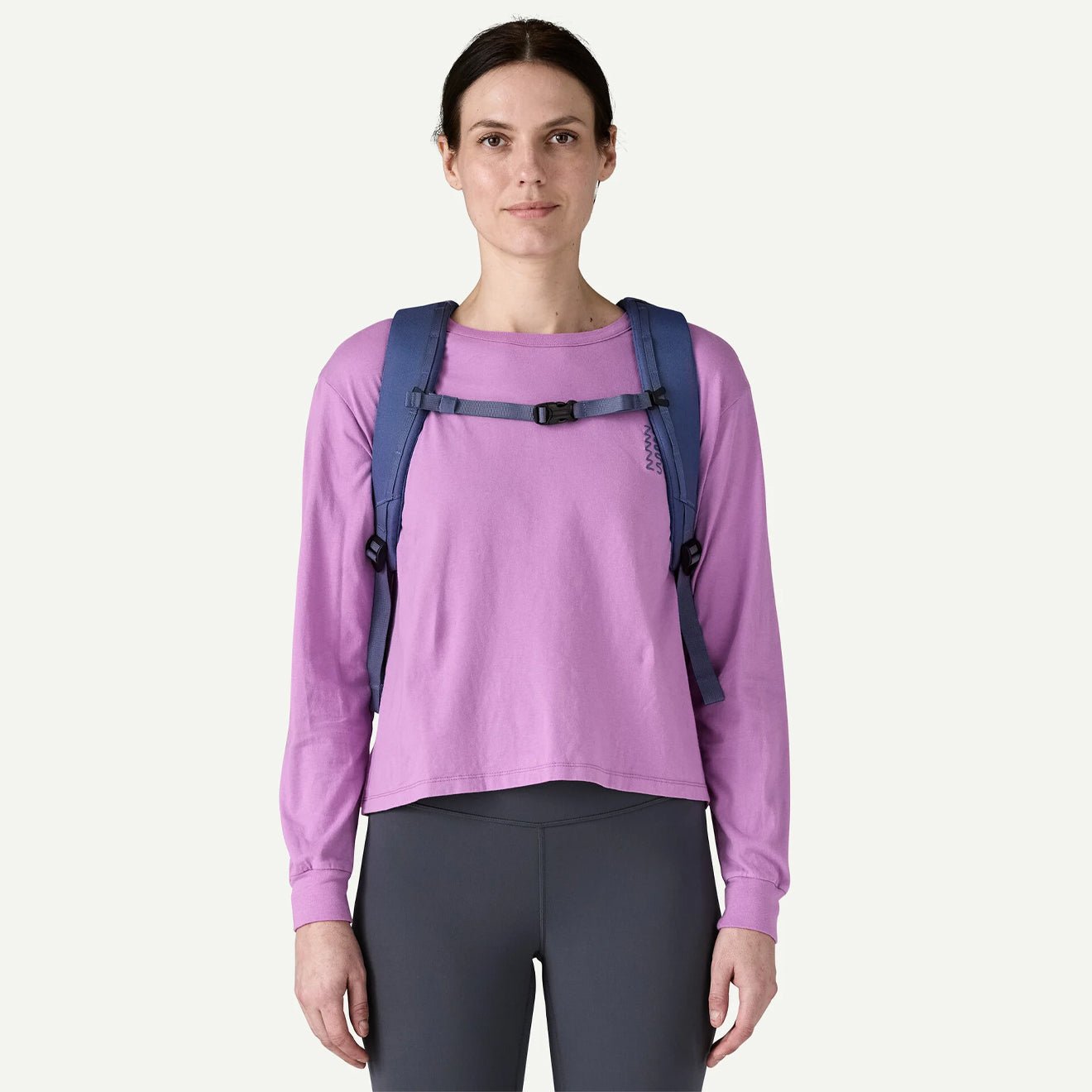 Patagonia Black Hole Pack 25L Current Blue - The Sporting Lodge