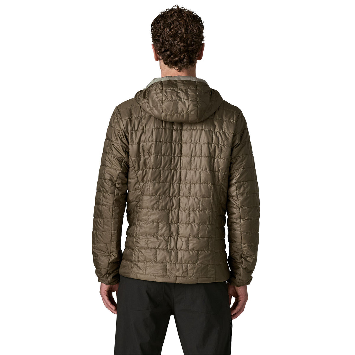 Patagonia Nano Puff Fitz Roy Trout Hoody Basin Green