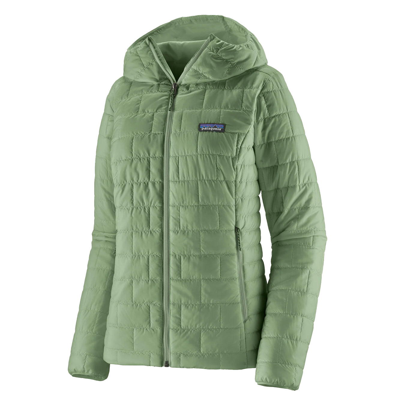 Patagonia Womens Nano Puff Hoody Ellwood Green