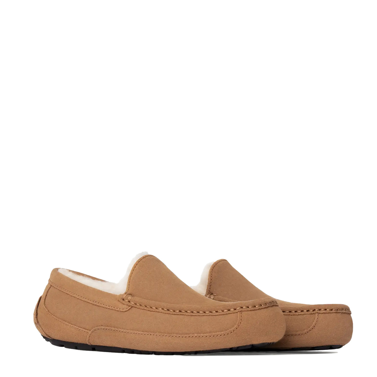 UGG Ascot Slipper Chestnut