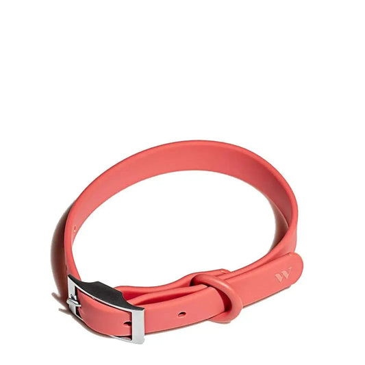 Wild One Dog Collar Red - The Sporting Lodge