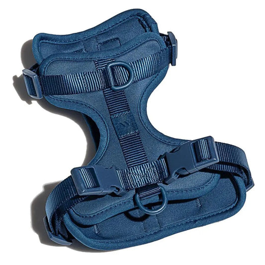 Wild One Dog Harness 2.0 Blue - The Sporting Lodge