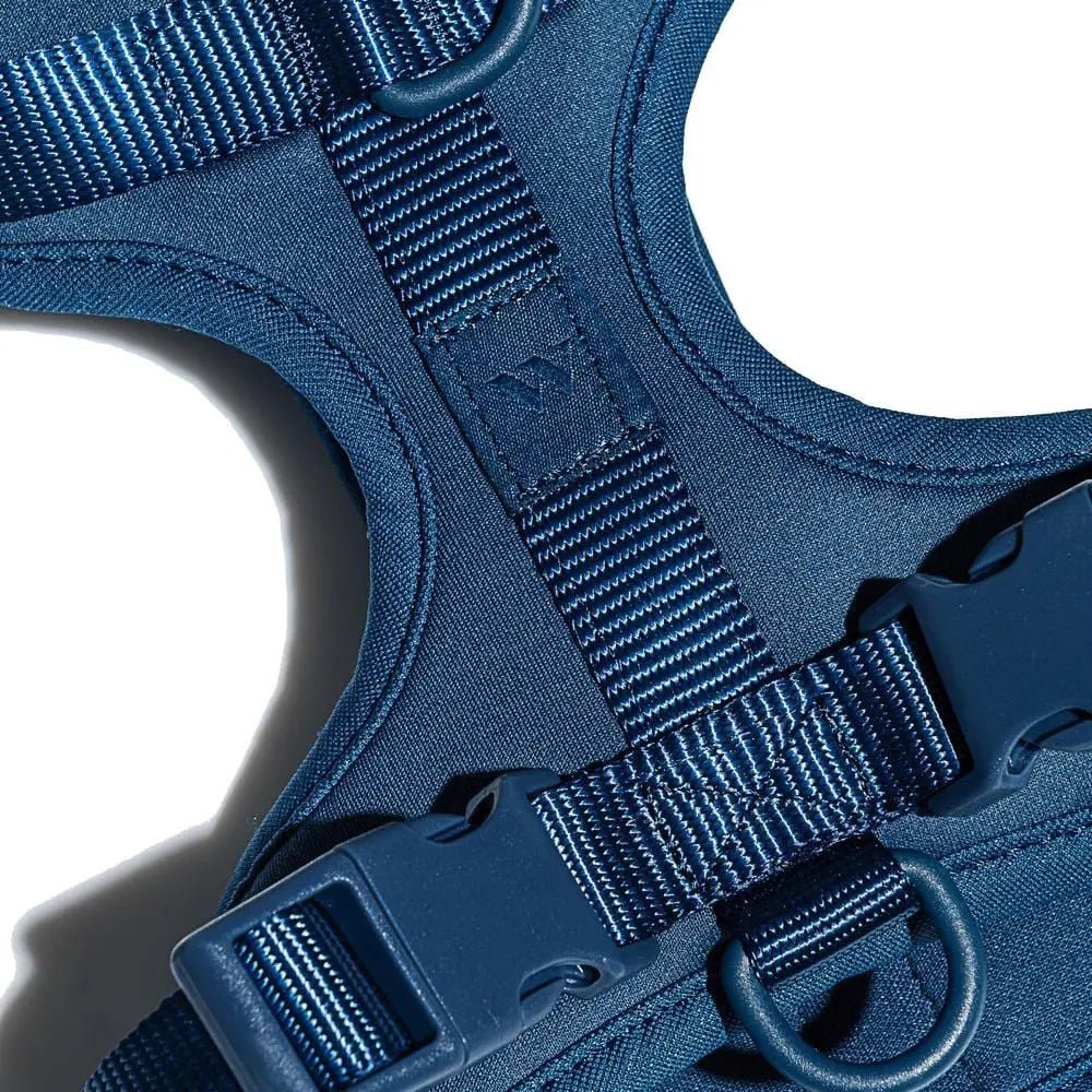 Wild One Dog Harness 2.0 Blue - The Sporting Lodge