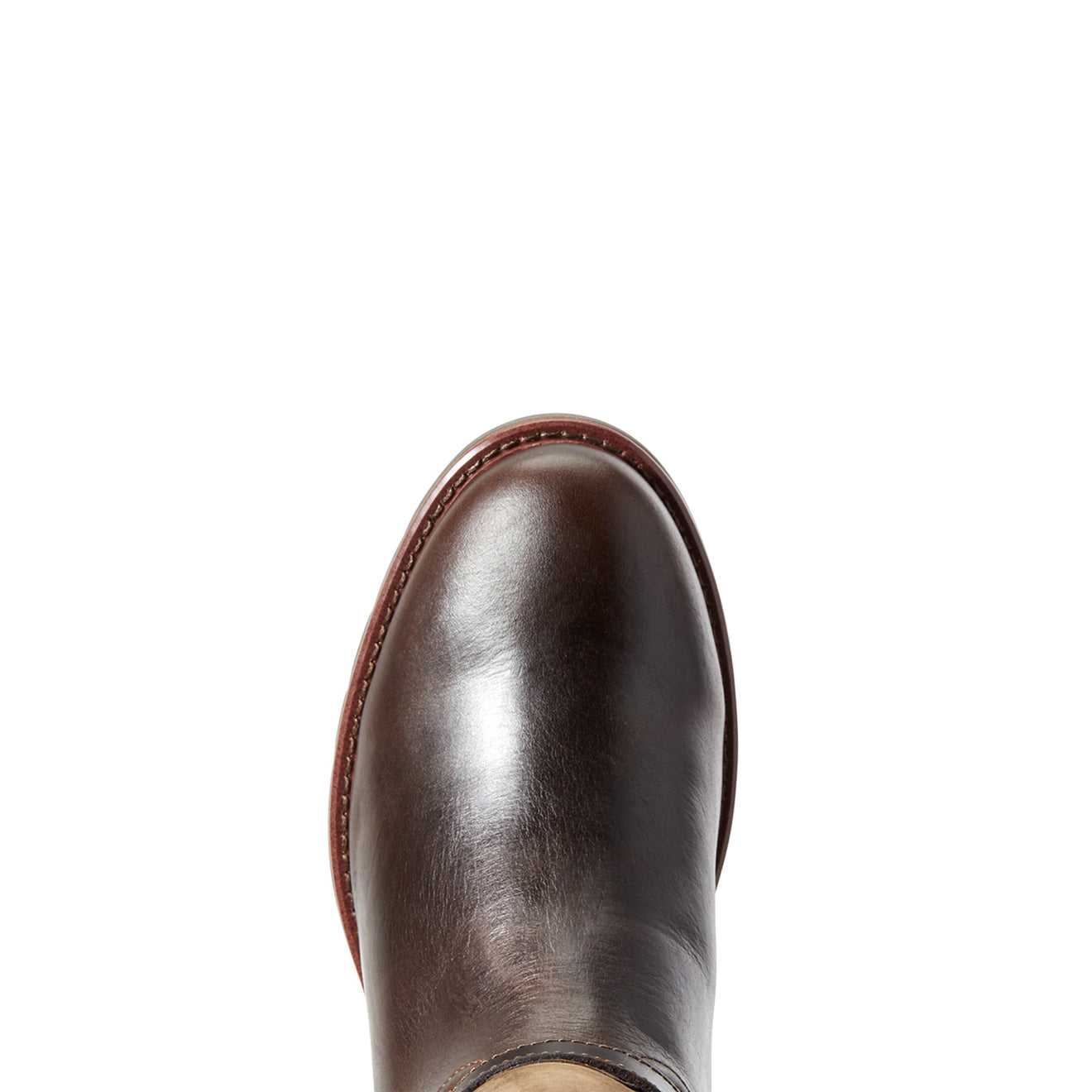 Ariat Womens Carden Waterproof Boot Chocolate / Willow - The Sporting Lodge