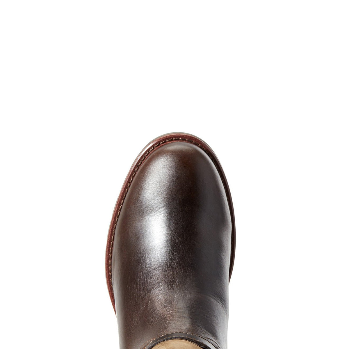 Ariat Womens Carden Waterproof Boot Chocolate / Willow - The Sporting Lodge