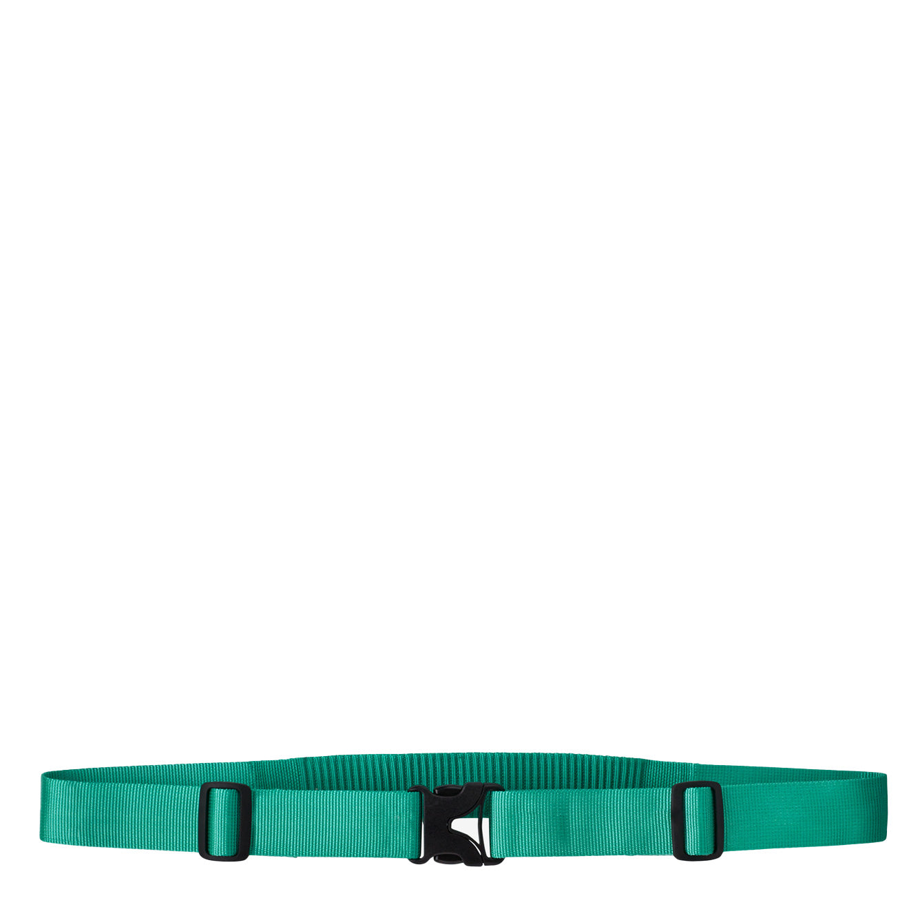 Patagonia Secure Stretch Wading Belt Fresh Teal - The Sporting Lodge