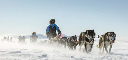 People in Fjallraven jackets guiding sled dogs across snowy terrain under a clear sky, showcasing winter expedition clothing.