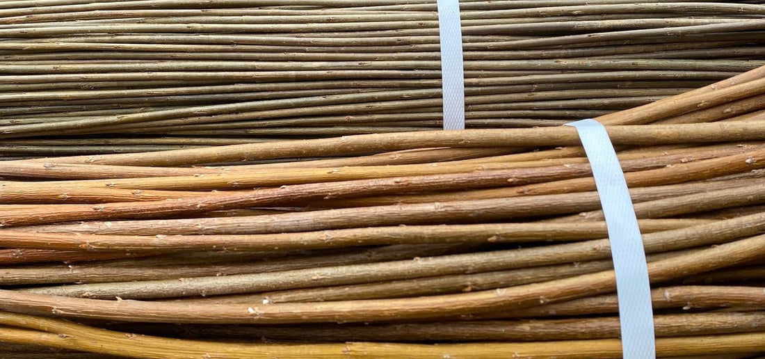 Bundled willow rods prepared for basket making, showing natural coppiced stems used in traditional woven craft