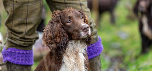 Heritage Crafts Series Number 8: The Gundog Trainer