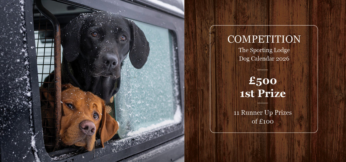 2026 Dog Calendar Competition