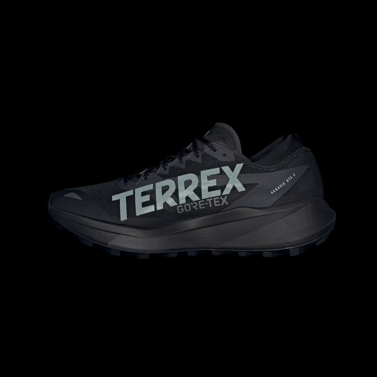 Adidas Terrex Agravic Gore-Tex 2 Trainer Carbon Black / Grey Six / Carbon