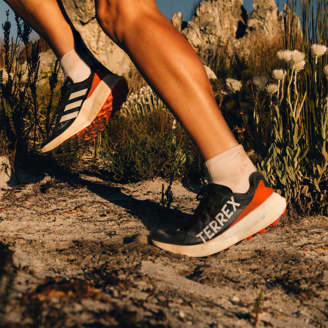 Adidas Terrex Agravic Speed Trail Running Shoe