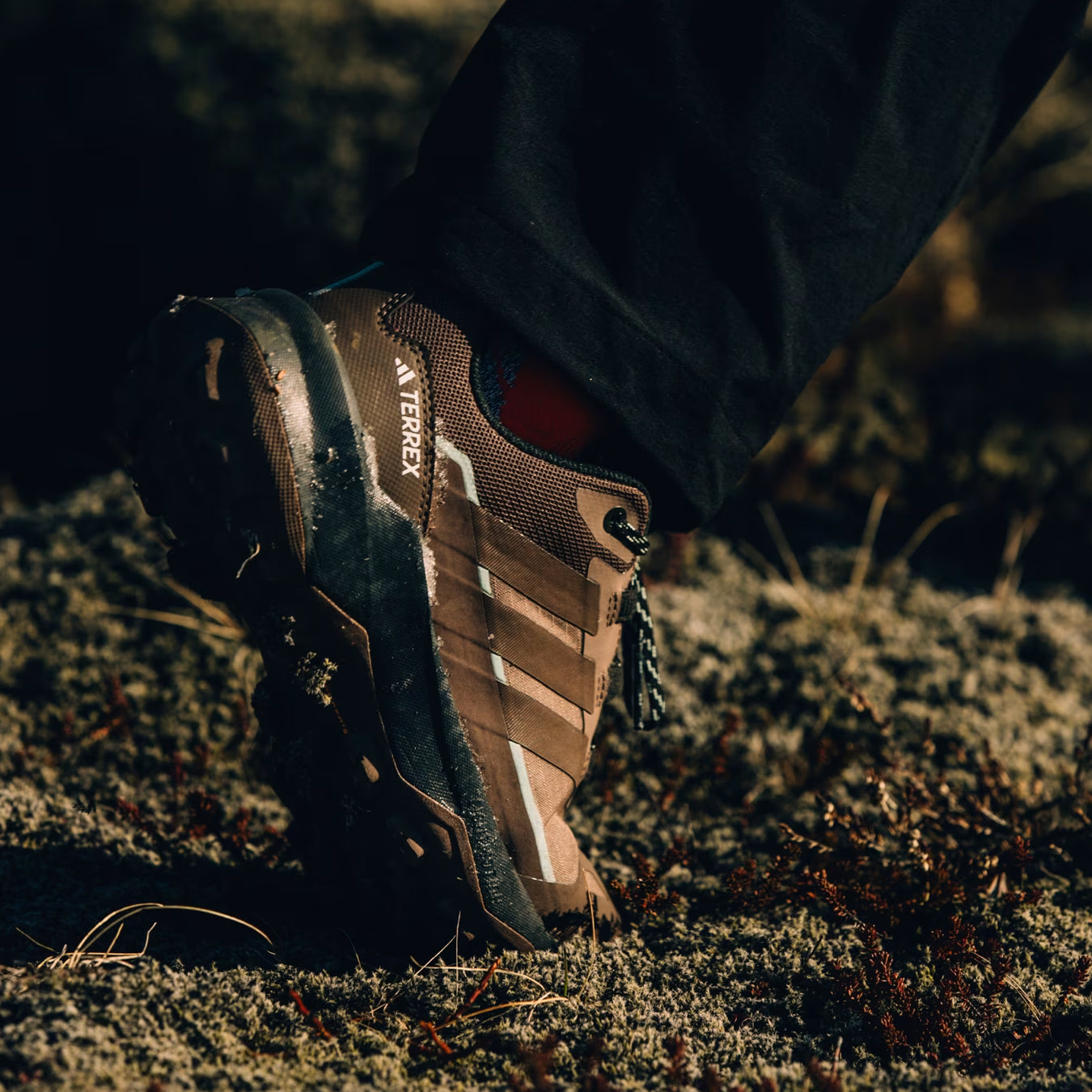 Adidas Terrex Womens Skychaser AX5 GoreTex Hiking Shoe Trace Brown / Earth Strata / Semi Impact Orange - The Sporting Lodge