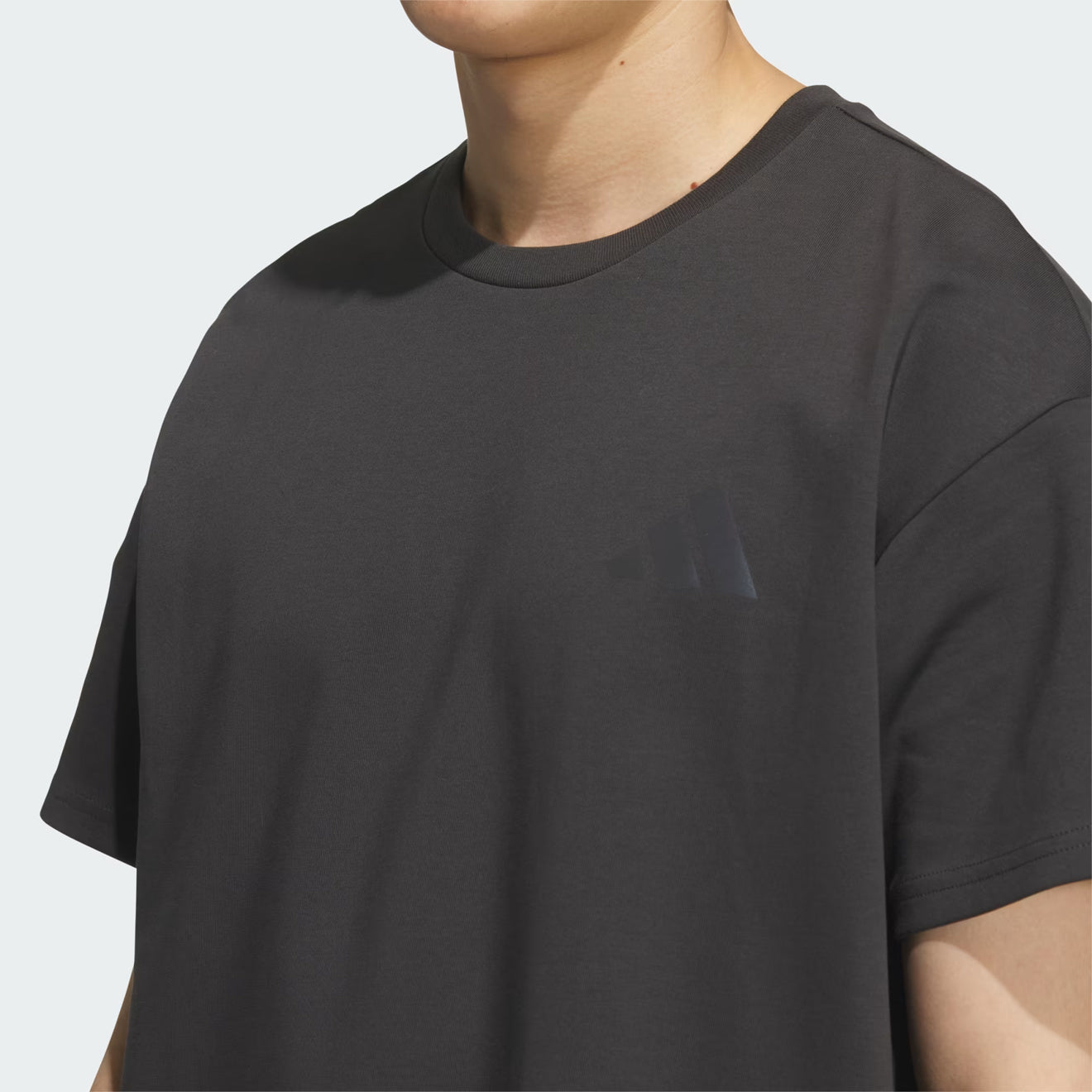 Adidas Terrex XPloric Graphic T-Shirt Carbon - The Sporting Lodge