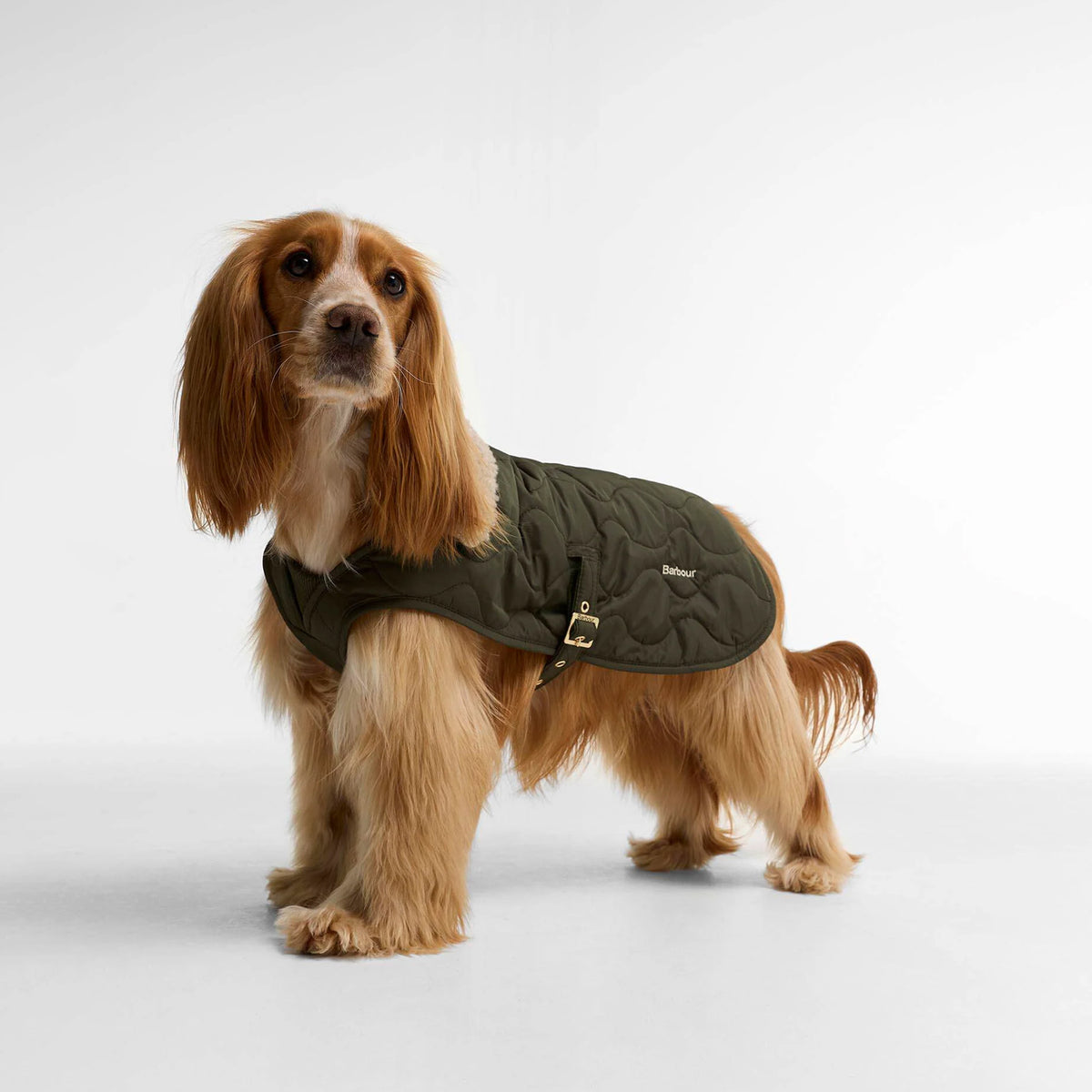 Barbour Beith Quilted Dog Coat Olive